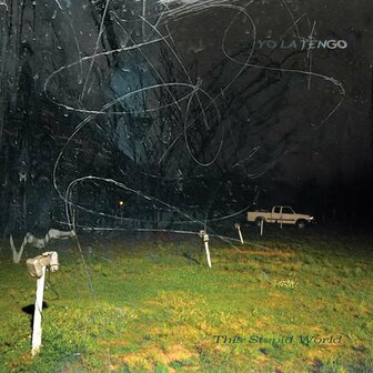 YO LA TENGO - THIS STUPID WORLD (2LP)