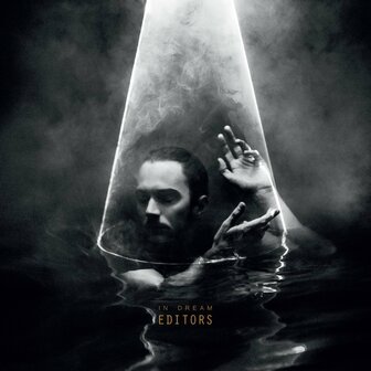 EDITORS - IN DREAM (LP)