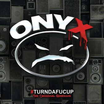 ONYX - TURNDAFUCUP (LP)