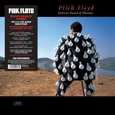 PINK FLOYD - DELICATE SOUND OF THUNDER (LP)