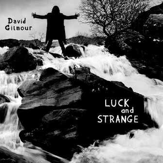 DAVID GILMOUR - LUCK AND STRANGE (LP/SILVER)