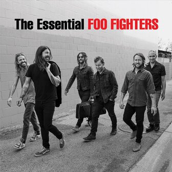 FOO FIGHTERS - THE ESSENTIAL (LP)