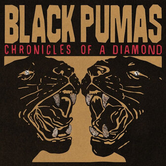 BLACK PUMAS - CHRONICLES OF A DIAMOND (LP)