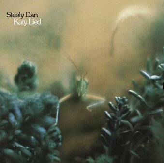 STEELY DAN - KATY LIED (LP)